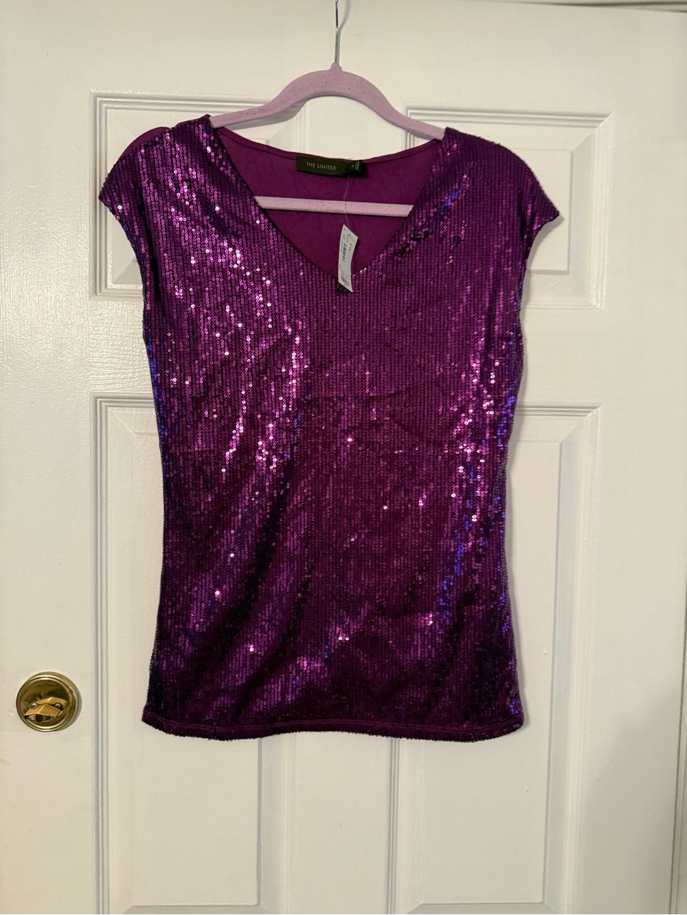 The Limited Purple Sequin V-Neck Cap-Sleeve Top